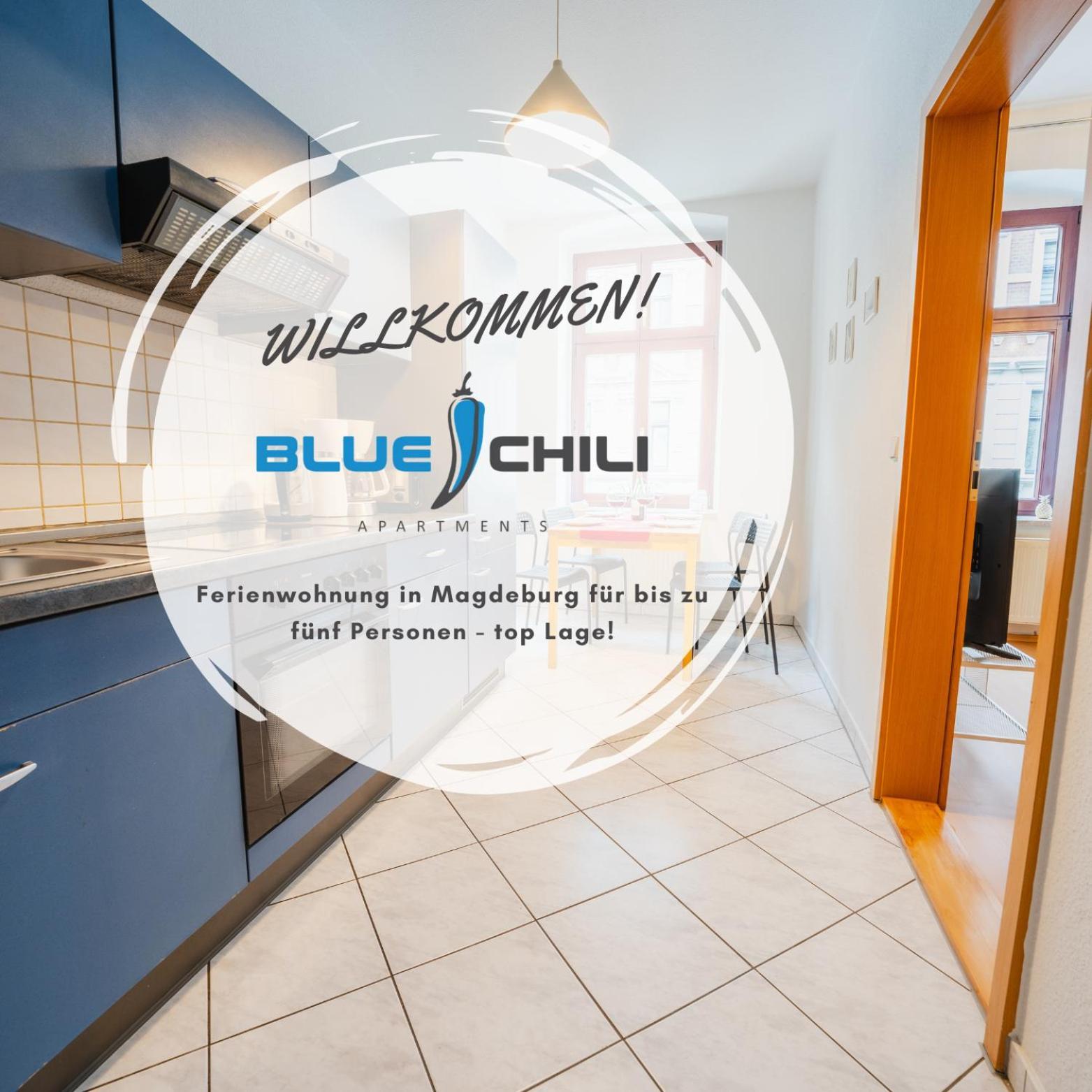 Blue Chili 08 - Magdeburg 2-Zimmer Altbau, Wi-Fi, 5 Pax 외부 사진